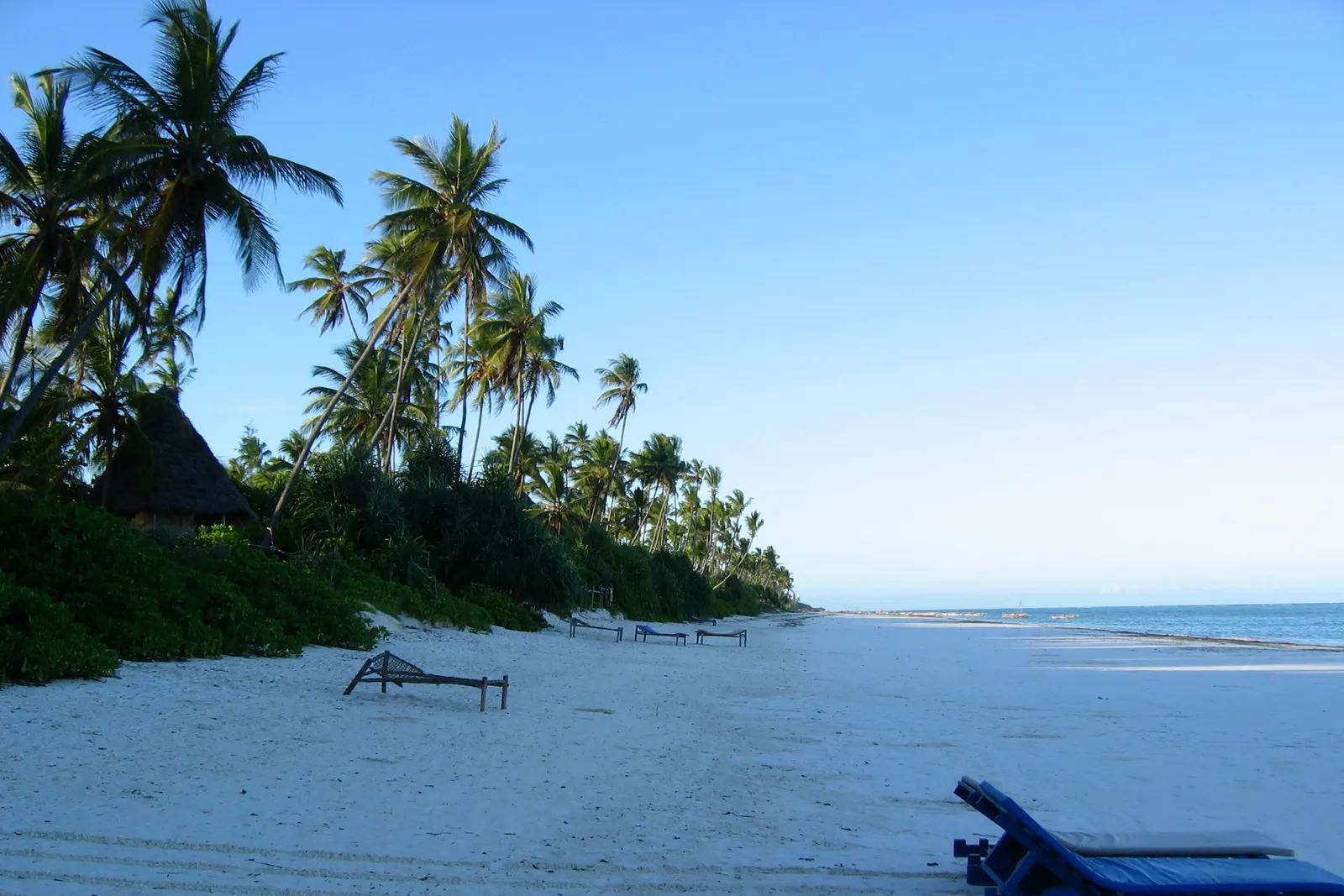 Weißer Sandstrand an der Ostküste Sansibars mit Palmen und zwei Sonnenliegen